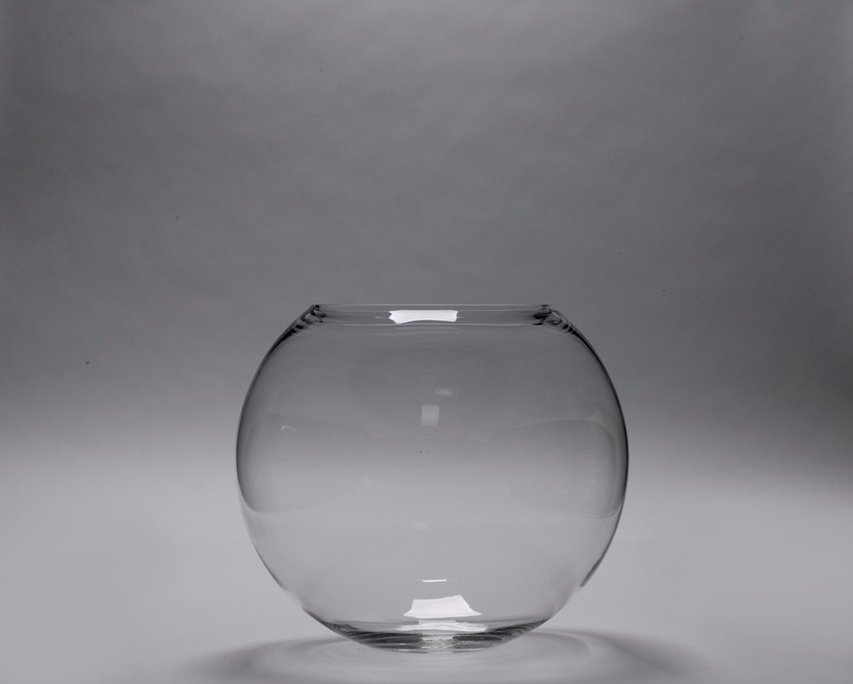 Bubble Bowl / Terrarium Glass Vase