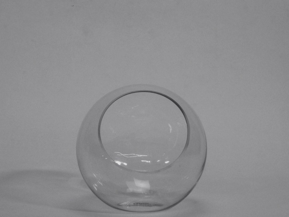 Bubble Bowl / Side Face Terrarium Glass Vase